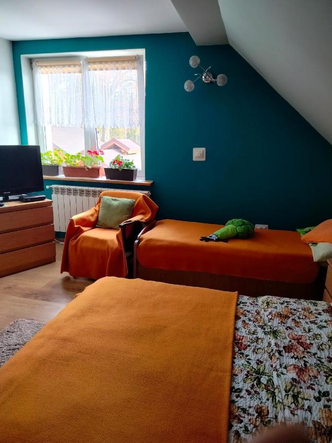 Zgorzanka Villa Istebna Buitenkant foto