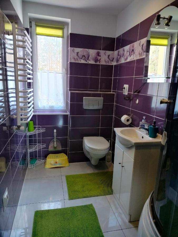 Zgorzanka Villa Istebna Buitenkant foto